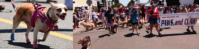 July 4th Parade